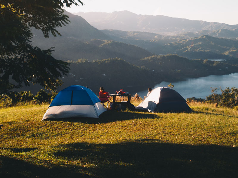 Visualize impactful mindshare